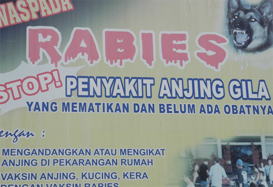 rabies rabies